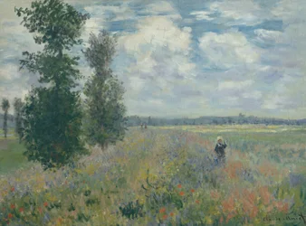 Mohnfelder bei Argenteuil