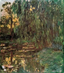 Blick auf das Seerosenteich mit Weide