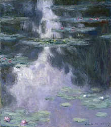 Seerosen