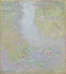 Seerosen