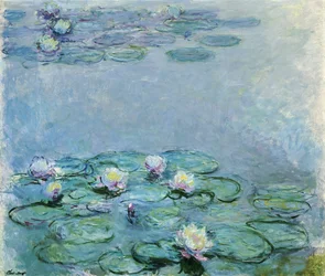 Seerosen