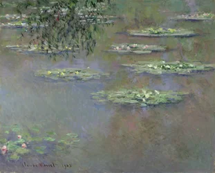 Seerosen, 1903
