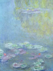 Seerosen, 1906