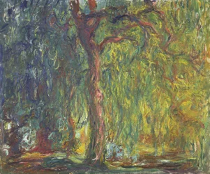Trauerweide