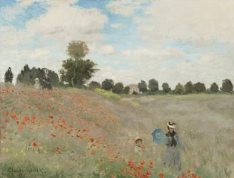 Mohnfeld