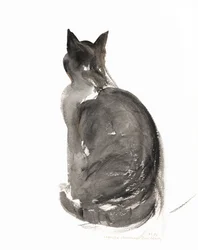 Katze, 1985