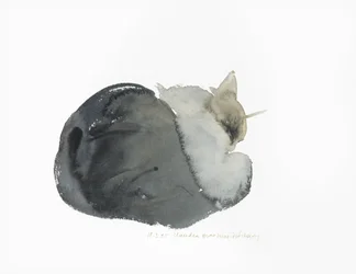 Schlafende Katze