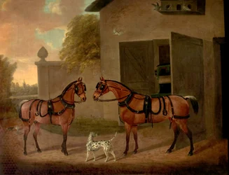 Kutschen, Pferde und Hunde
