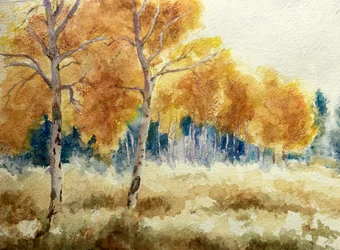 Herbstliche Espen in den Tetons, 2011