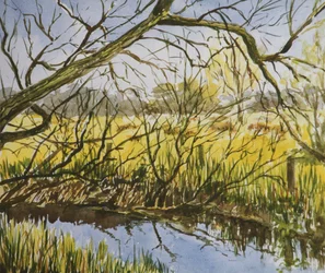 Wasserwiesen, Kintbury, früher Mai-Nachmittag