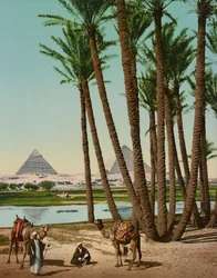 Palmen, Beduinen und Pyramiden, Kairo, Ägypten
