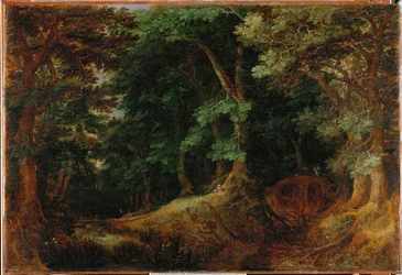 Waldlandschaft