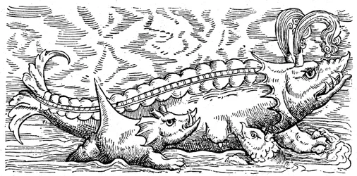 Stillende Wale und Meerschweinchen