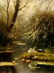 Enten in einer Landschaft