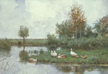 Enten in einer Flusslandschaft