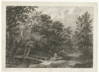 Waldansicht mit Holzbrücke