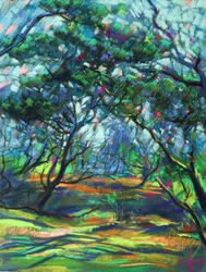 Gefleckter Waldweg