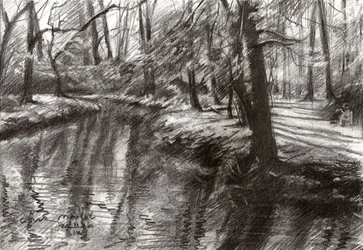 Waldstrom-Reflexionen