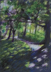 Sonniger Waldweg