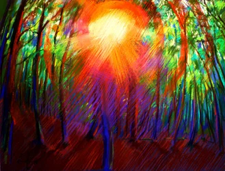 Lebendiges Waldlicht