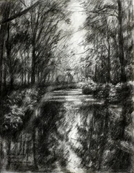 Verschlungener Waldweg
