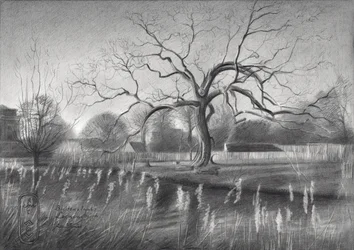 Winterbaum-Reflexionen