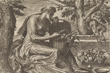 Geschmack, aus Die fünf Sinne, 1561