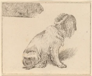 Sitzender Hund