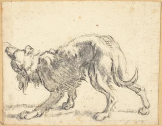 Ein Hund