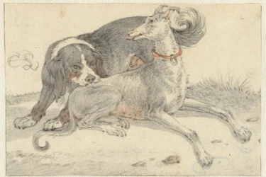 Windhund und ein Vorstehhund