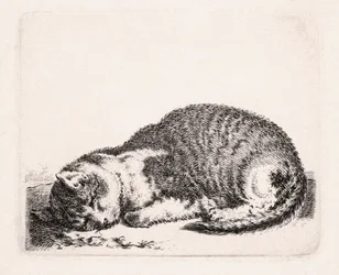 Schlafende Katze, ca. 1607-81