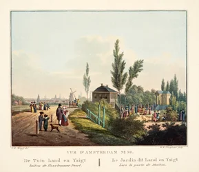 Vue d