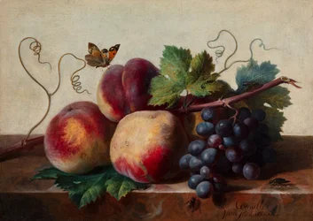 Stillleben mit Pfirsichen und Trauben auf einem Marmortisch mit einem Schmetterling und anderen Insekten
