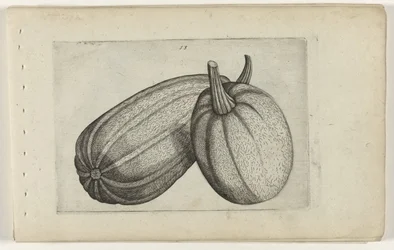 Zwei Melonen
