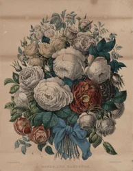 Rosen und Rosenknospen