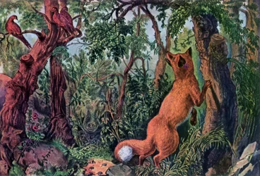 Der verwirrte Fuchs, 1872