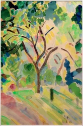 Baum im Schlosspark in Pretzfeld