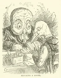 Illustration für Kleiner Mr. Bouncer und sein Freund Verdant Green