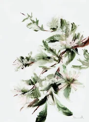 Blüte