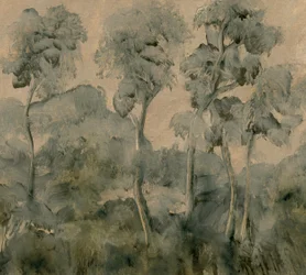 Vergessener Wald