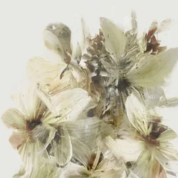 Hügelblumen