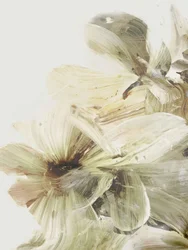 Hügelblumen