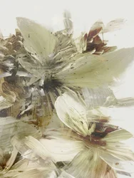 Hügelblumen 2