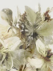 Hügelblumen 3