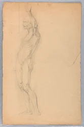Anatomische Studie eines Mannes, ca. 1850