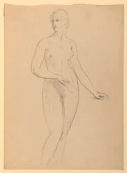 Zeichnung, Frau Henry Schieffelin, S, 1881