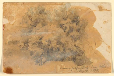 Studie von Bäumen, Genf