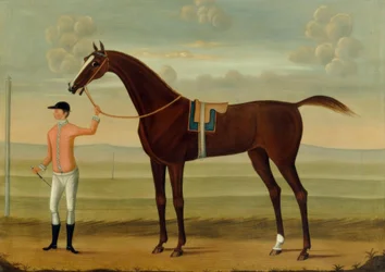 Ein Bay-Rennpferd mit seinem Jockey auf einer Rennbahn