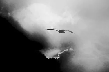 Dramatischer Himmel Flug
