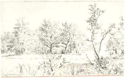 Landschaft mit Wald und Wiese